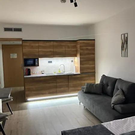 D&d Wellness - David Wellness Lägenhetshotell 4*