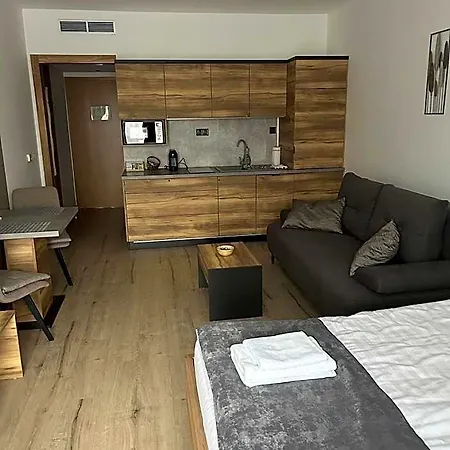 D&d Wellness - David Wellness Appart hôtel 4*
