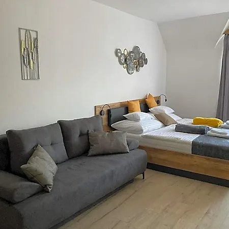 D&d Wellness - David Wellness Appart hôtel
