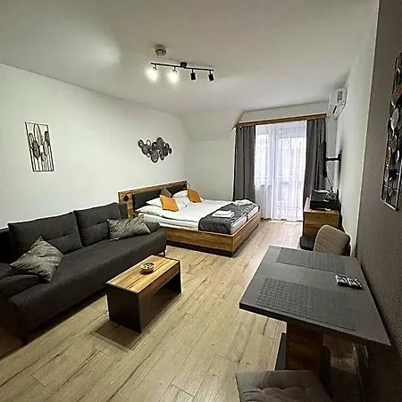 D&d Wellness - David Wellness Appart hôtel