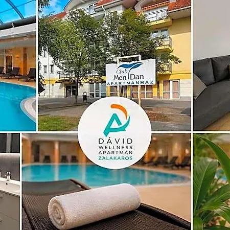 D&d Wellness - David Wellness Zalakaros