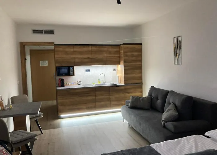 D&d Wellness - David Wellness Lägenhetshotell 4*