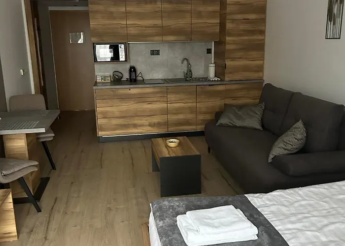 Lägenhetshotell D&d Wellness - David Wellness