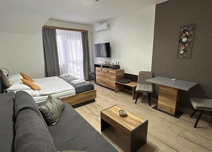 Lägenhetshotell D&d Wellness - David Wellness